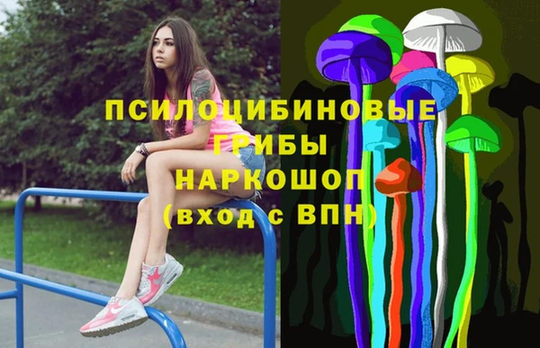 2c-b Богородицк
